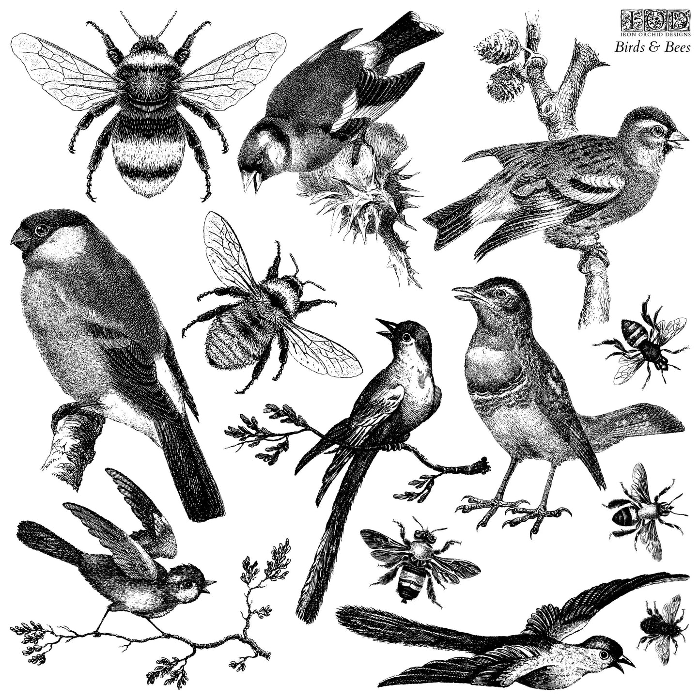 IOD DECOR STAMP- Birds & Bees 12x12